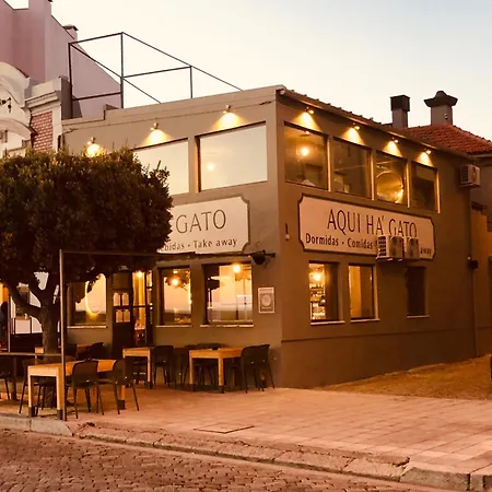 Hostal Aqui Há Gato *
